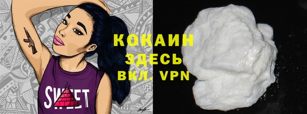 индика Белокуриха