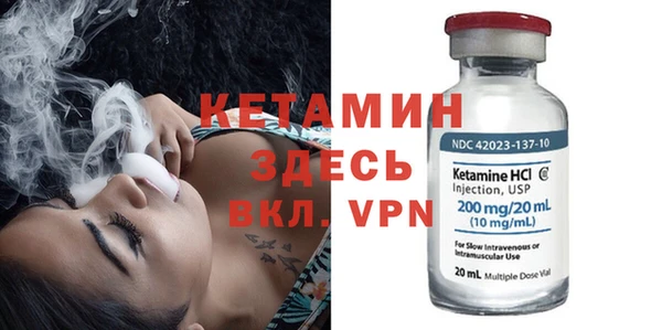 индика Белокуриха