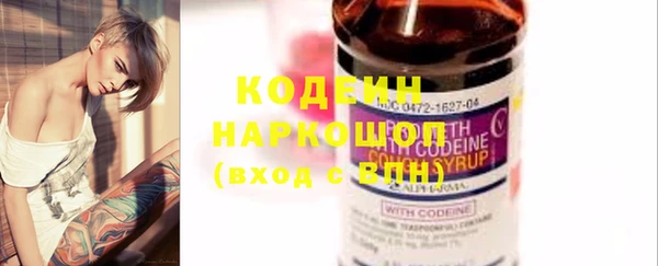 индика Белокуриха