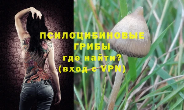 индика Белокуриха