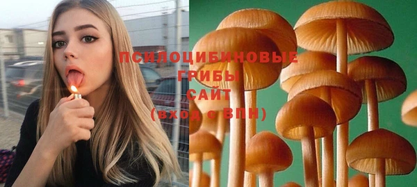 индика Белокуриха