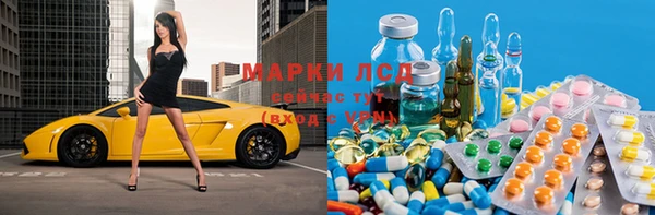 индика Белокуриха